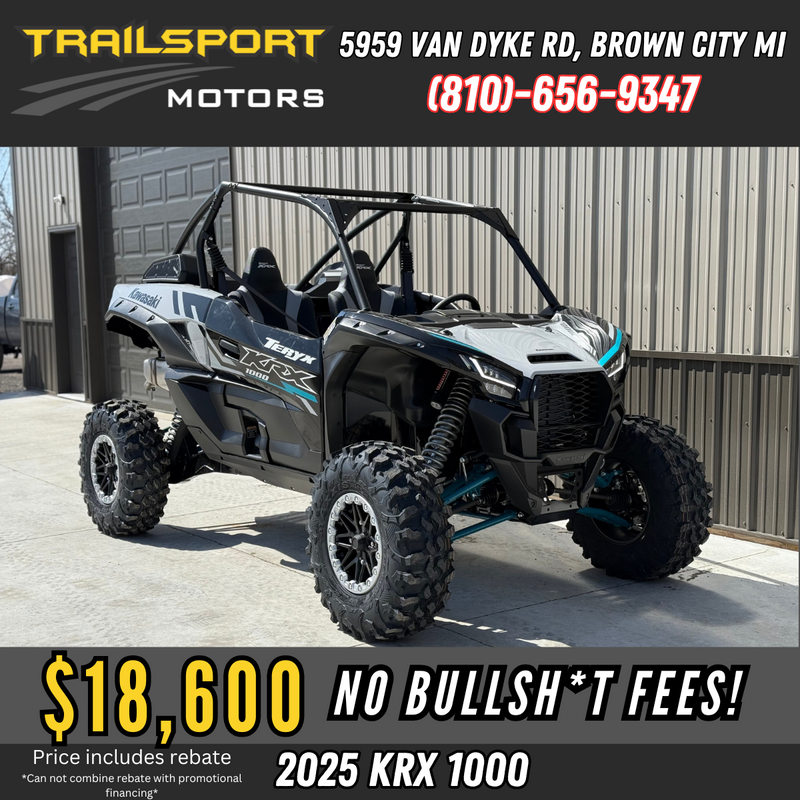 2025 Kawasaki Teryx KRX 1000 Metallic Light Gray