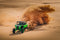 2026 Kawasaki TERYX®4 H2 DELUXE eS Supercharged 250hp
