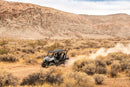 2025 Kawasaki Teryx 800 4 S LE Ice Gray