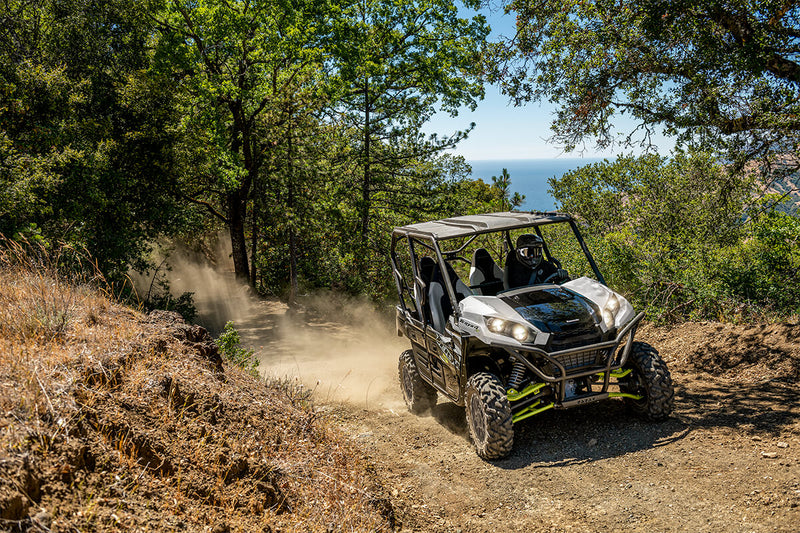 2025 Kawasaki Teryx 800 4 S LE Ice Gray