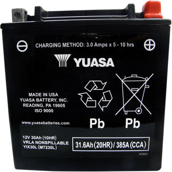 Yuasa Battery YIX30L-BS