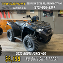 2025 Kawasaki Brute Force 450 Grayish Blue