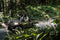 2026 Kawasaki MULE Pro FXR EPS 1000 Smokey Gray