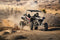 2025 Kawasaki Teryx KRX 1000 eS Sand Beige