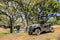 2025 Kawasaki MULE Pro-MX EPS SE 700 Gold
