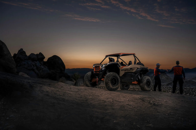 2026 Kawasaki Teryx KRX 1000 Rock Edition