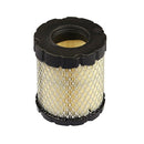 Briggs & Stratton Air Filter 798897