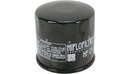 HiFlo Filtro HF 129 Oil Filter - Trailsport Motors